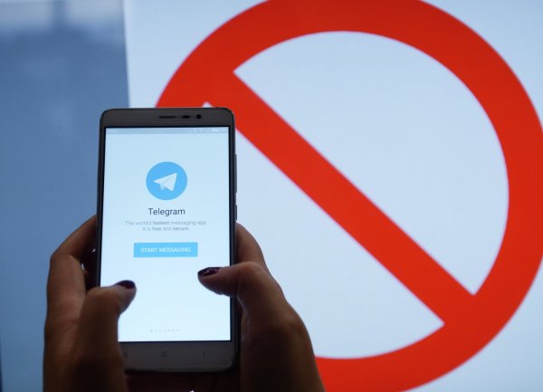 Telegram в России могут разблокировать уже через месяц